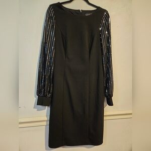 Womens Black Dress with Shimmering Sleeves